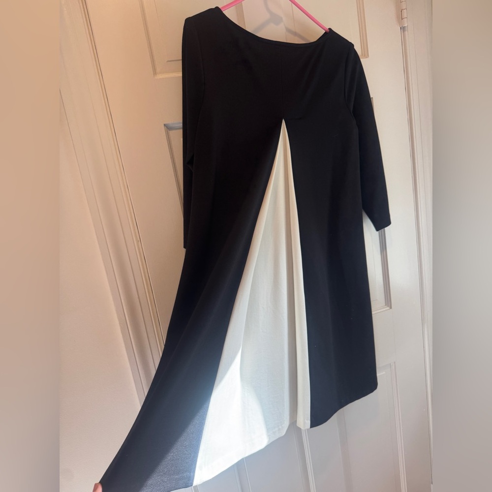 Sara Campbell Classic Black Mini Dress with White Pleated Back - Picture 6 of 10